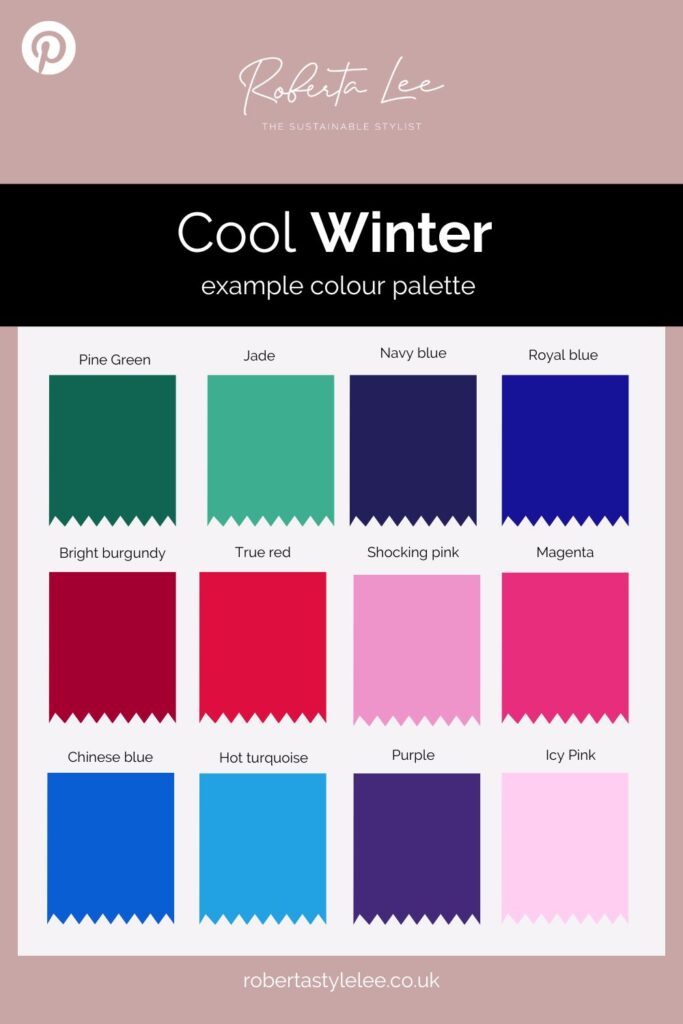 Cool winter. Color type of appearance of women. With a palette of colors  suitable for this type of appearance. Stock Vector