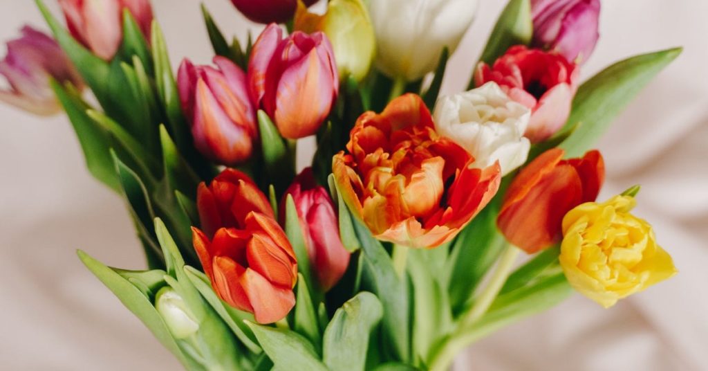 Bouquet of colourful flowers| True Spring Colour Analysis Guide | What is a Warm Spring Skin Tone?