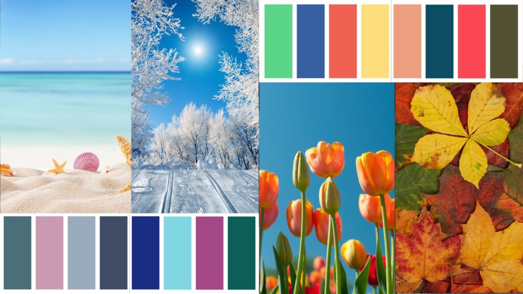 Seasonal & Tonal Colour Palettes