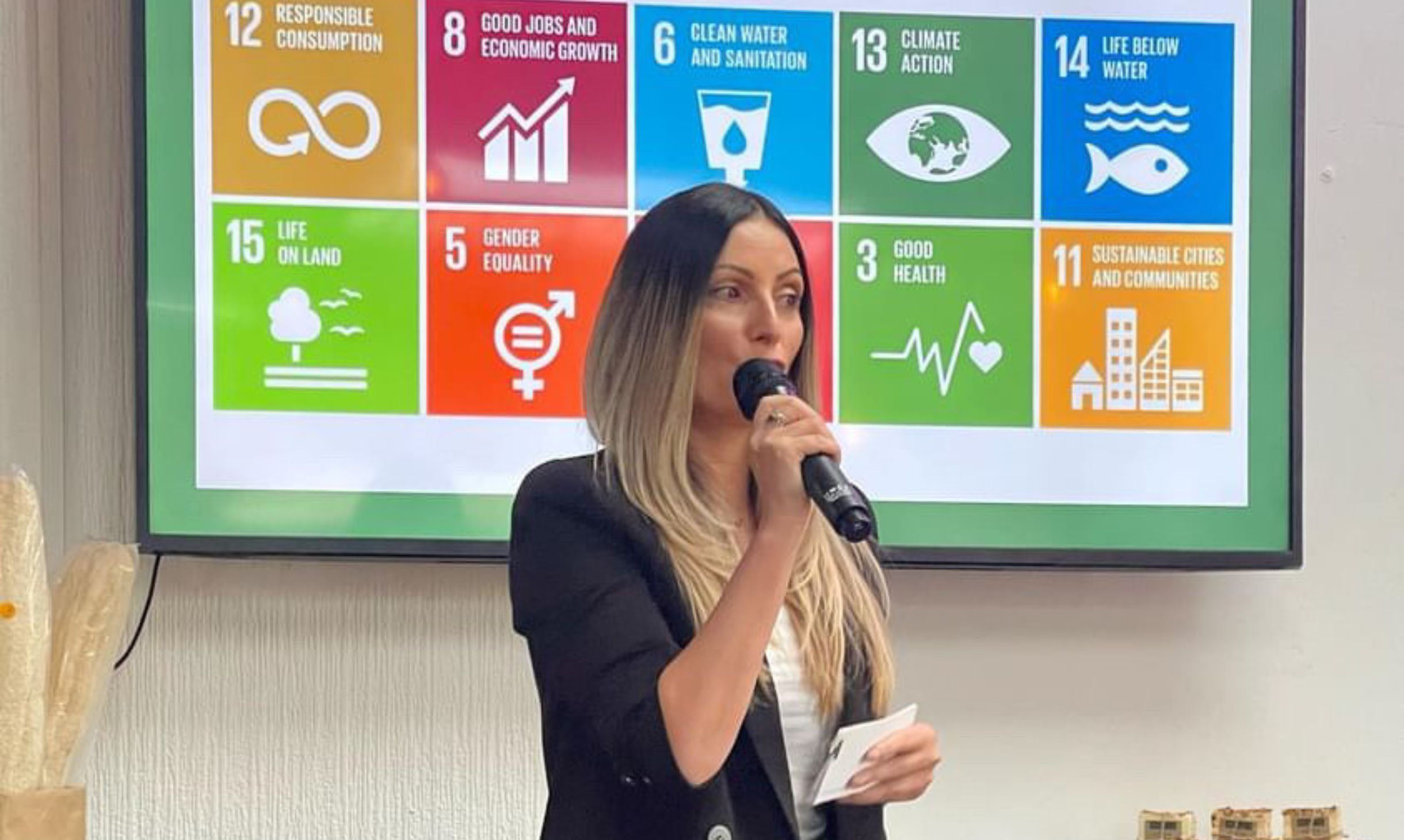 Roberta Lee speaking with SDG screen