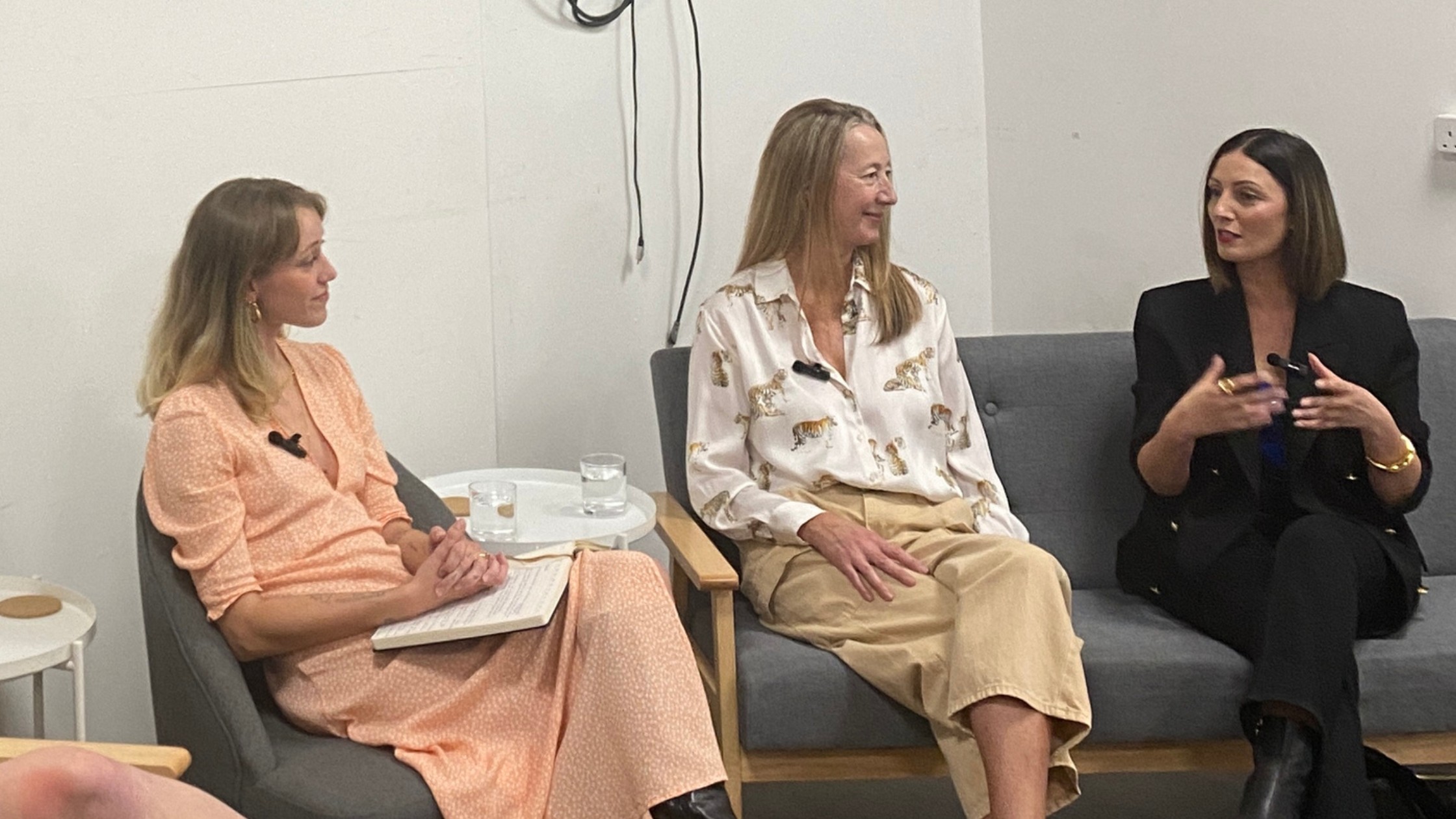 Panel interview — three women
